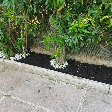 La Dimora Dell 'avvocato Holiday home *